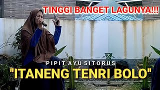 Itaneng Tenri Bolo - Fitri Adiba Bilqis - Cover By Pipit Ayu Sitorus | LAGU BUGIS VIRAL DI TIKTOK