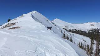 Cornice control instructional video