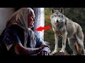 The wolf saved the elderly woman from the gang of fugitives