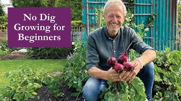 Growing no dig for beginners