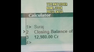 how to check ledger  and stock balance in tally #tally erp 9