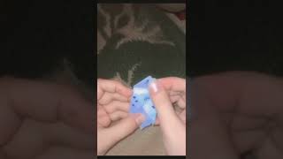 Sister Ny Gift Diya Chota Sa Sanam Vlogs