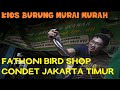 Ambyarrr.. MURAHNYA...Kios Burung MURAI BATU Fathoni Condet JakTim