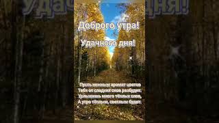 С Добрым Утром! Позитивного Дня! Красивая Музыкальная Открытка Доброе Утро!