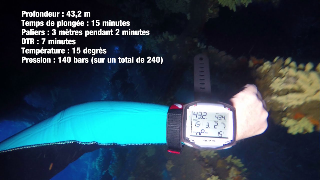 Plongée Epave le Donator - Porquerolles