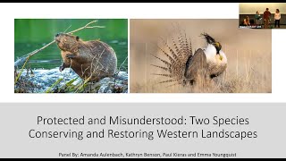 Protected and Misunderstood: Two Species Conserving and Restoring Western Landscapes