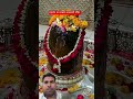 #facts #mahadiv #bollywood #kedarnathsanctury #nandimahraj #vlog #travel har har Mahadev