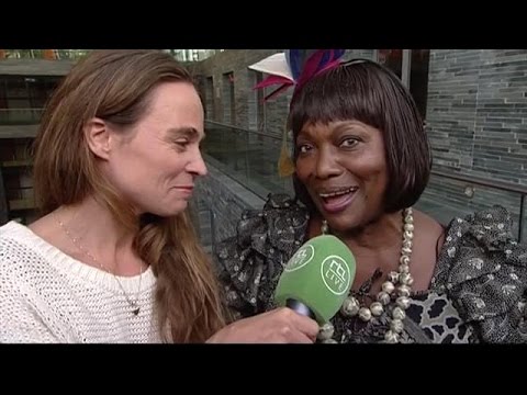 40 Jaar Don Quishocking 40 Jaar Don Quishocking
