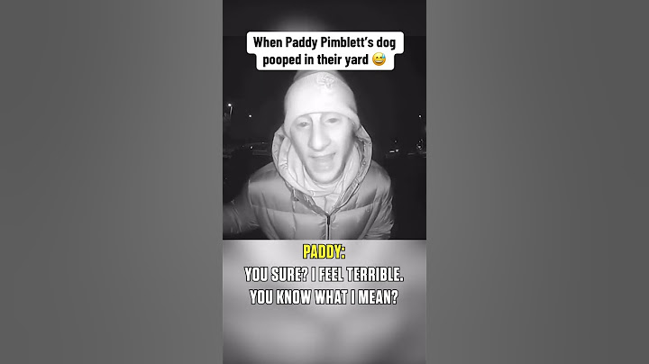 Paddy the Baddy … good neighbor 🐕 😂 #UFC304