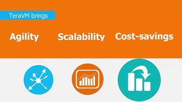 TeraVM - Delivering on the promise of NFV