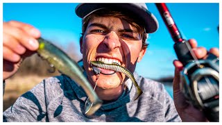 SWIMBAIT Fishing For The BIGGEST BASS In YOUR Lake!! screenshot 2