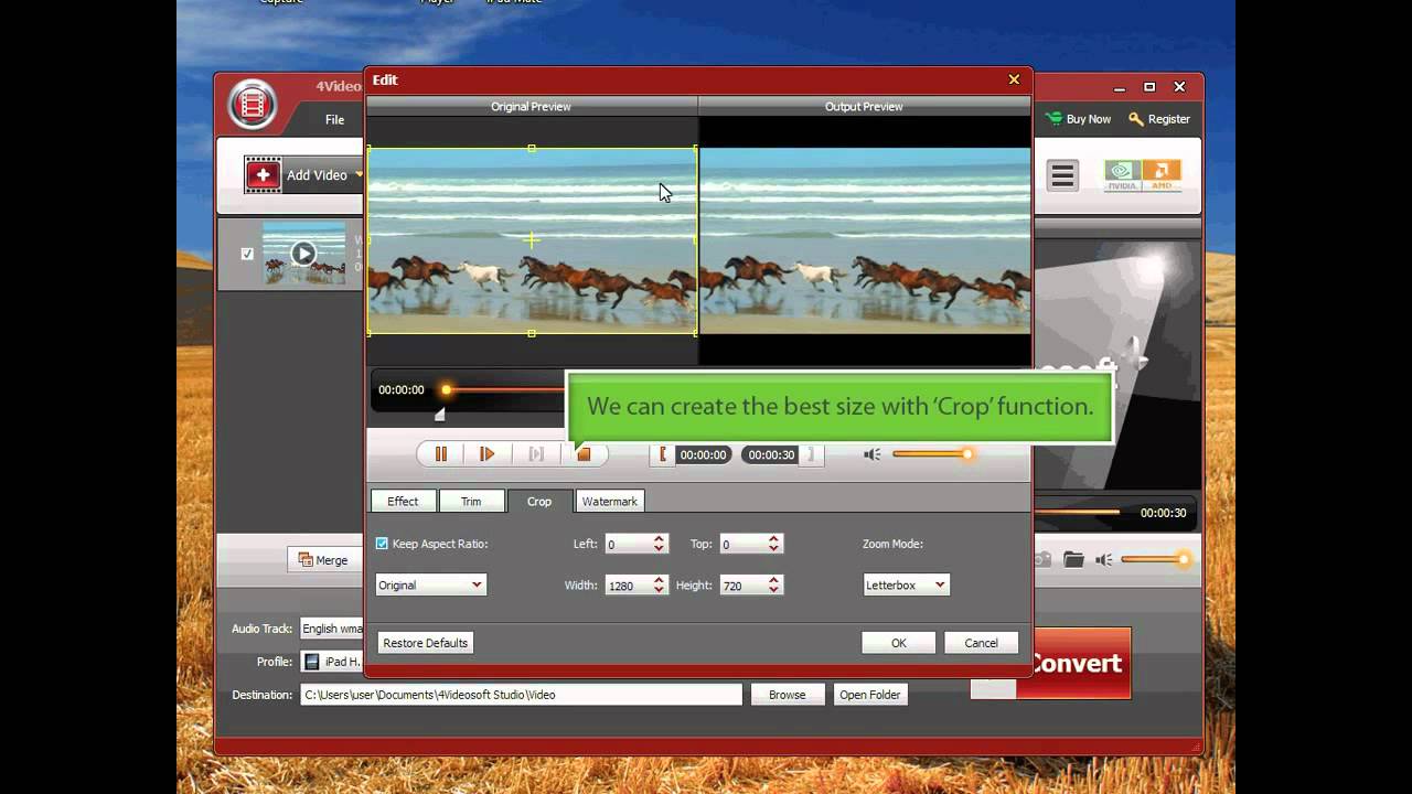 How to Convert DVD/Video to iPad, Transfer iPad Files, Convert PDF to ePub - 4Videosoft iPad Mate
