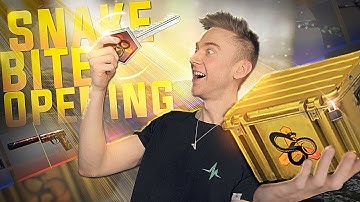 Snake Bite Case Opening! (NEW CS:GO CASE)