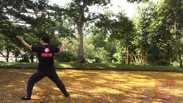 Chen Style Tai Chi New Frame First Routine 陈氏太极拳新架一路- XJ1 50 野马分鬃  Lunge with Splitting Hands - DayDayNews