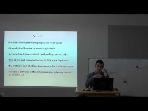 მემკვიდრული პერიოდული ცხელების სინდრომი - მამუკა ხმალაძე