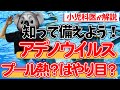 【知って備える】アデノウイルスについて小児科専門医が解説‼【プール熱】