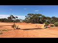 Exploring Old Gold Mines and Relic Hunting at Kookynie, Western Australia