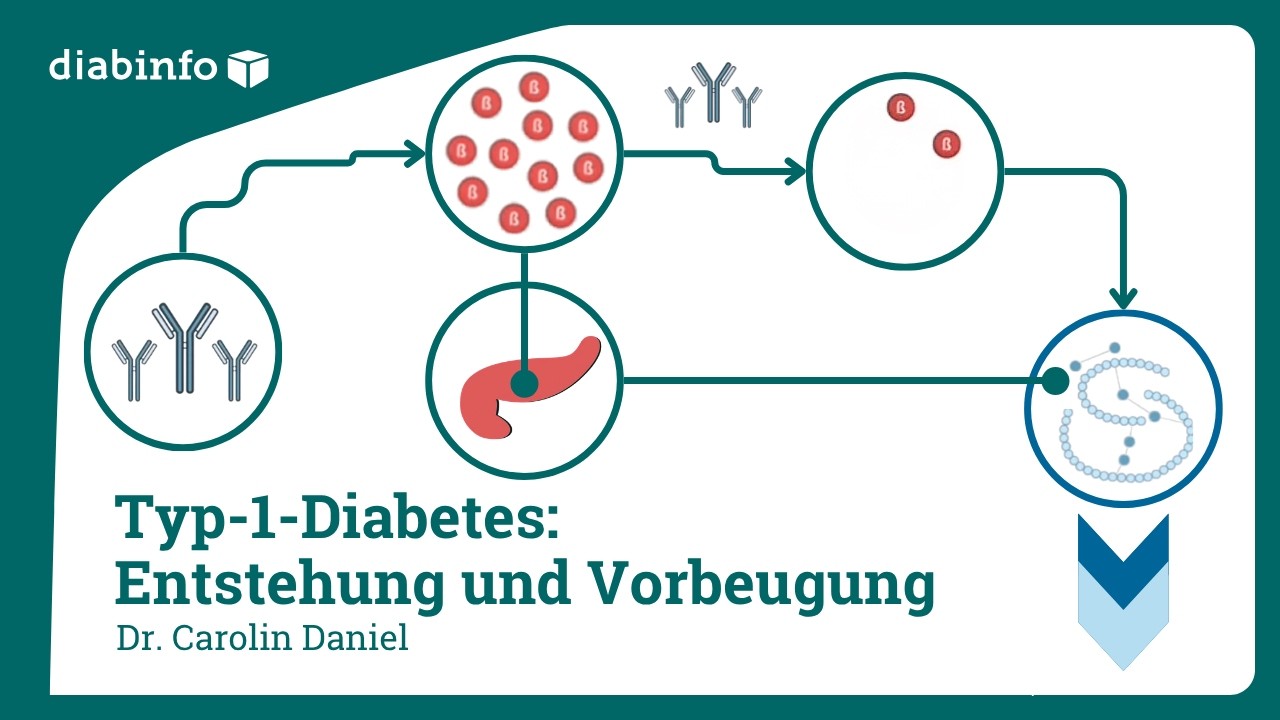 Wie Entsteht Diabetes Typ 1 www.youtube.com