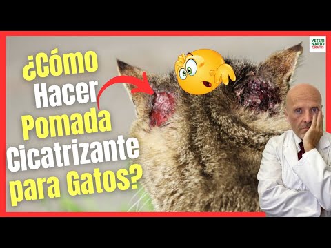 Video: ¿Qué olores o hierbas repelerán a los gatos?