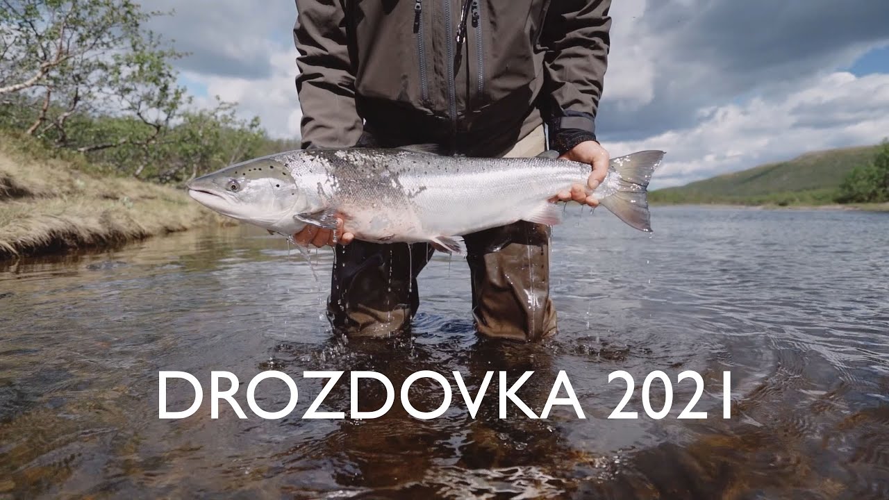 Ловля сёмги нахлыстом на реке Дроздовка. Fly fishing on the Kola Peninsula.