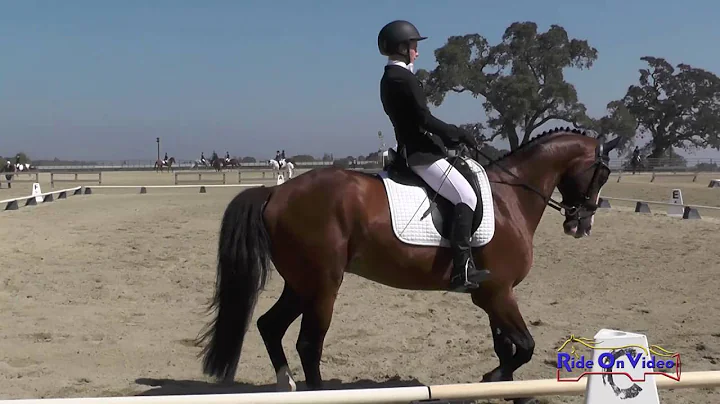 084D Sarah Ertl on Utah B JR Training Dressage Woo...