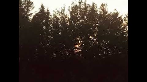 Ride this Life  // Sébastien Agius // Iphone clip