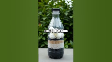 DIY Water Filtration Experiment