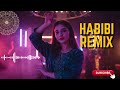 Habibi Skylight – Desert EDM Anthem