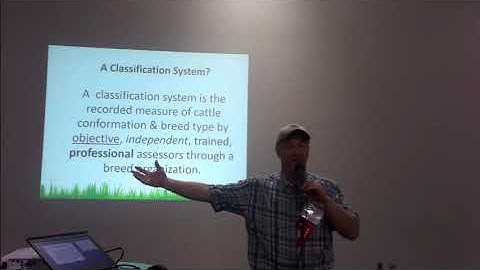 Linear Classification Basics for Dexter Cattle