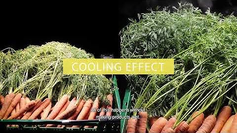 FRESH DEMO, winner of the Horizon Impact Award 2019