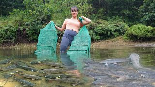 Harvesting fish with bagua nets - Amazing fishing video, cast net fishing - Catch fish to sell