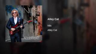 Video thumbnail of "Nils - Alley cat"