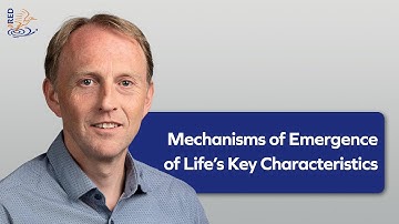 Mecanisms of emergence of Life