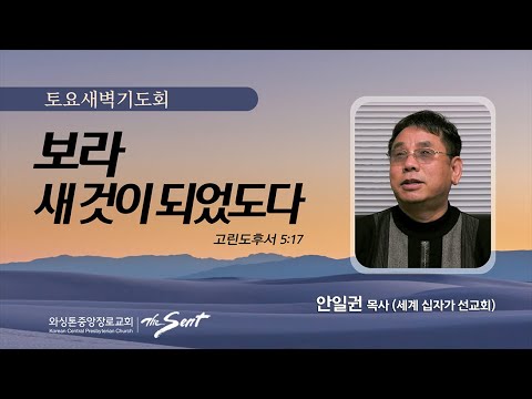 보라 새것이 되었도다.