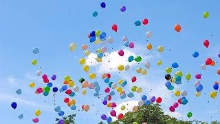 assorted-color balloons flying on the sky by FAMILY VIDEO 198 views 4 months ago 5 minutes, 4 seconds
