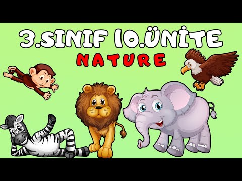 3.SINIF İNGİLİZCE 10.ÜNİTE KELİMELERİ VE KONU ANLATIMI | NATURE