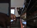 Lauraine Diberer #simple #good #foryou #trending #piano