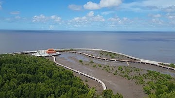 Vườn Quốc Gia Mũi Cà Mau nhìn từ trên cao