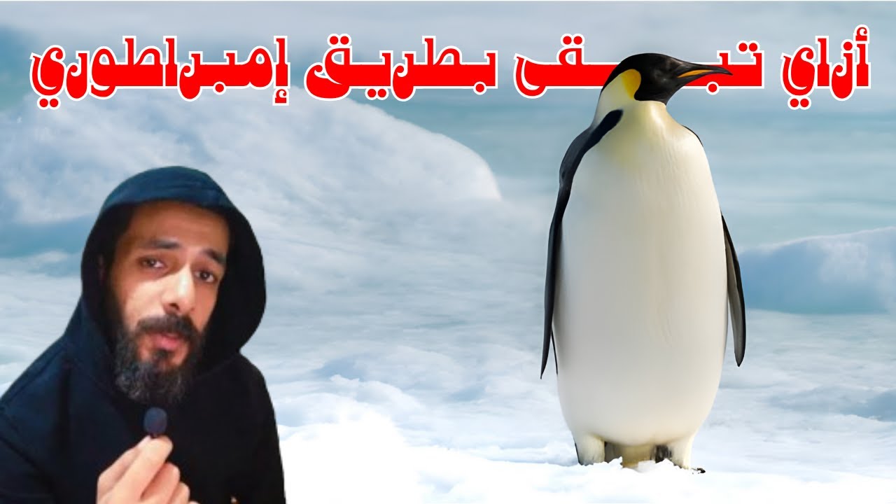 الحياة من وجهة نظر البطريق الإمبراطوري