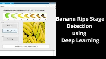 Banana Ripe Stage Detection using Deep Learning