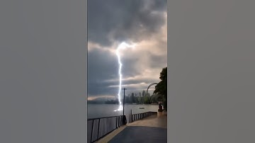 Lightning strikes trees#storm