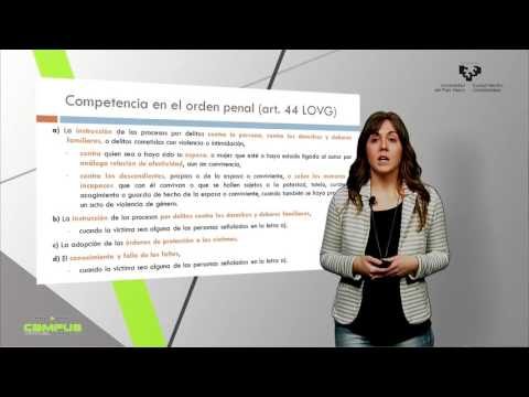 Especial referencia a la LO 1/2004: tutela institucional y judicial