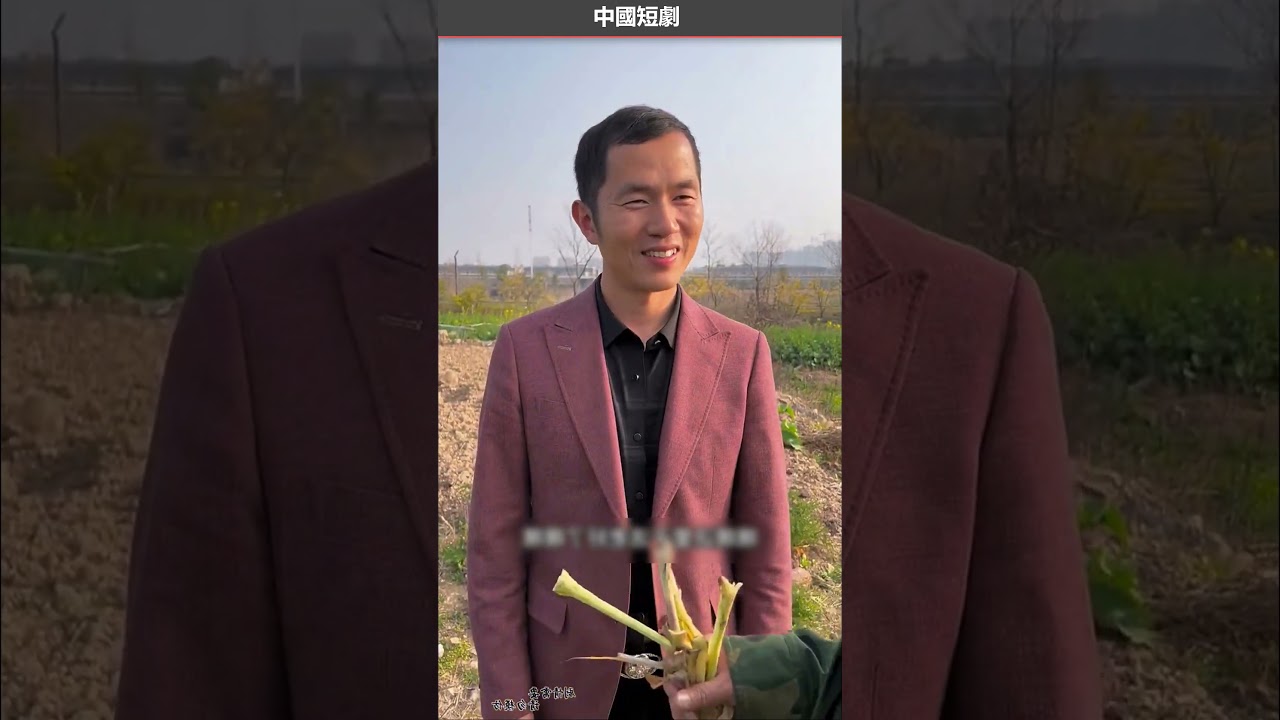 人心經不起試探劇情 人性 藕粉
