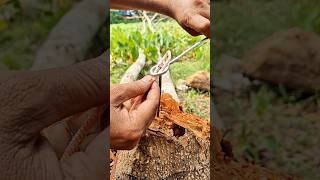 Survival Knot Everyone Should Learn 🏕👍#shorts #knotting #lifehacks