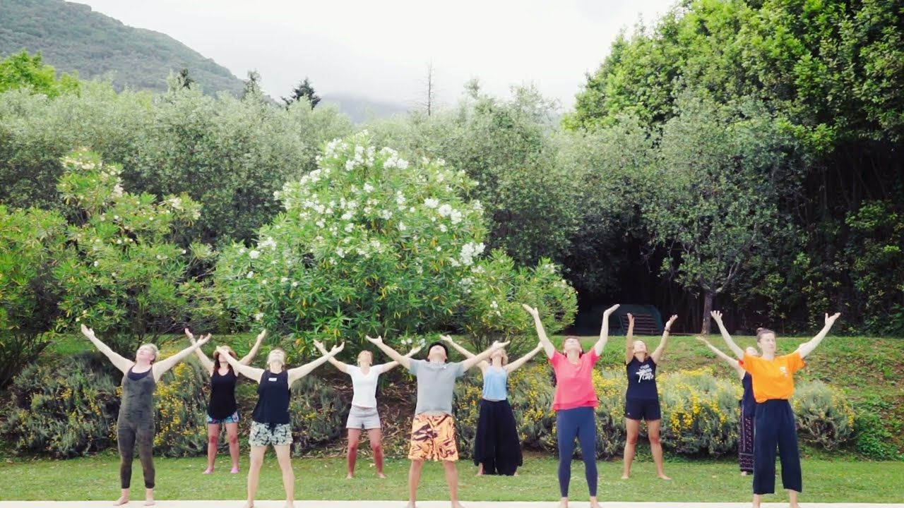 Calligraphy Health: Group Practice with Master Zhen Hua Yang