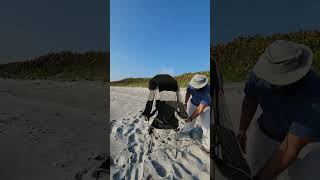 Docusvect Canopy Camping Chair review