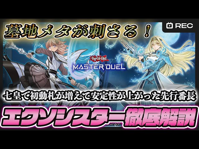 New Starter Cards Added!] A Thorough Explanation of the Newest
