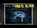The Pineal Gland (extremely detailed explanation!)