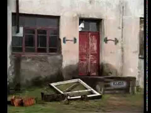 ძალოსანთა ფედერაციას სავარჯიშოდ პირობები არ აქვს