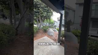 1 Bed Condo in Irvine for under 450K!! 1 Bed Condo in Irvine for under 450K!!